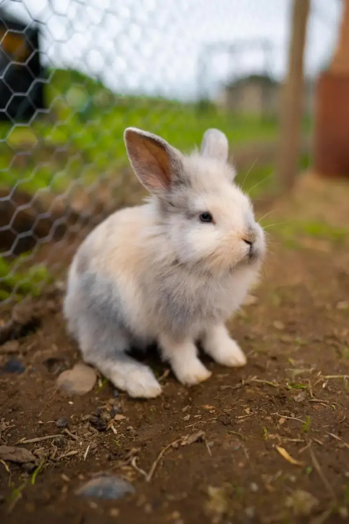 Radisson Blu Hotel & Spa, Limerick