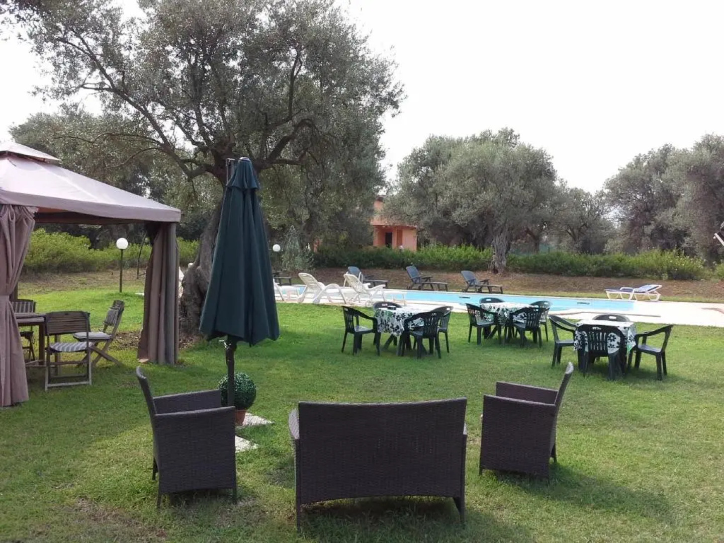 La Piana degli Ulivi