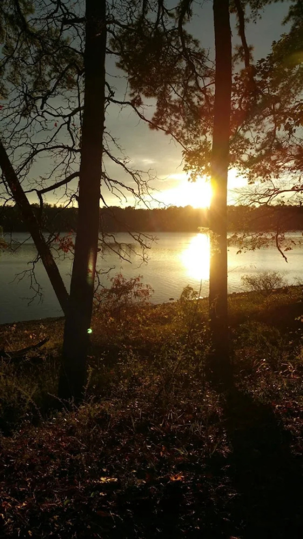 Self Creek Lodge and Marina