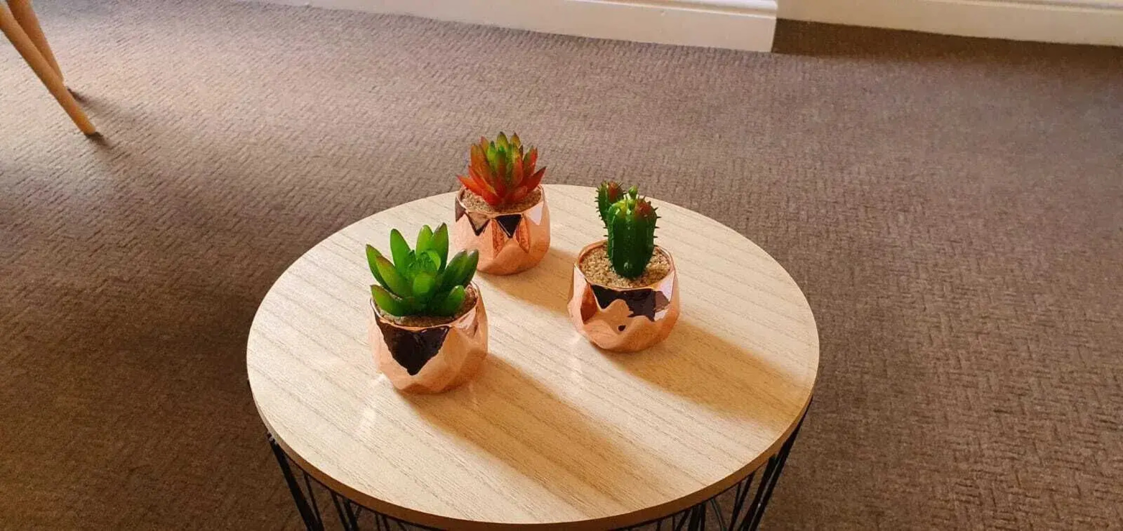 The Fenton Lodge by Paymán Club