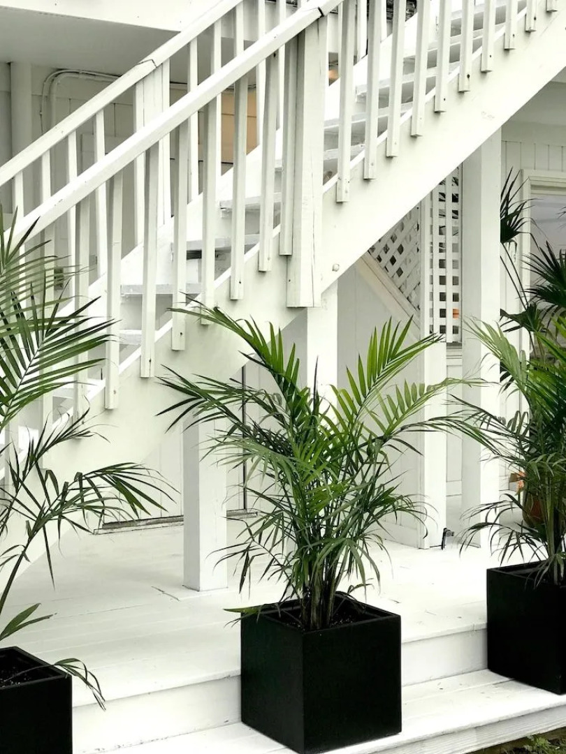 Aqua by American Beech - Adults Only