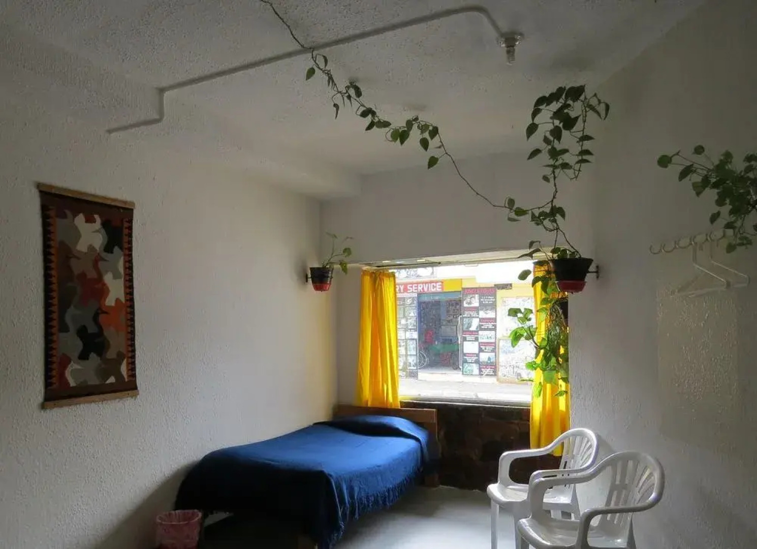 Hostal Plantas  Y Blanco