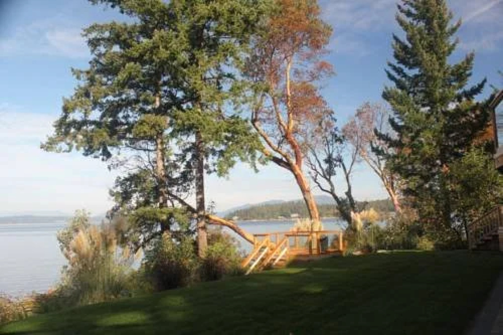 Dragonfly Beach House Bed and Breakfast