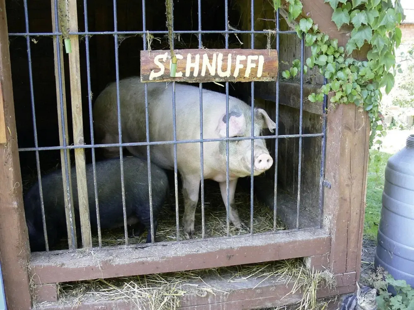 Landferienhaus Pension Erika