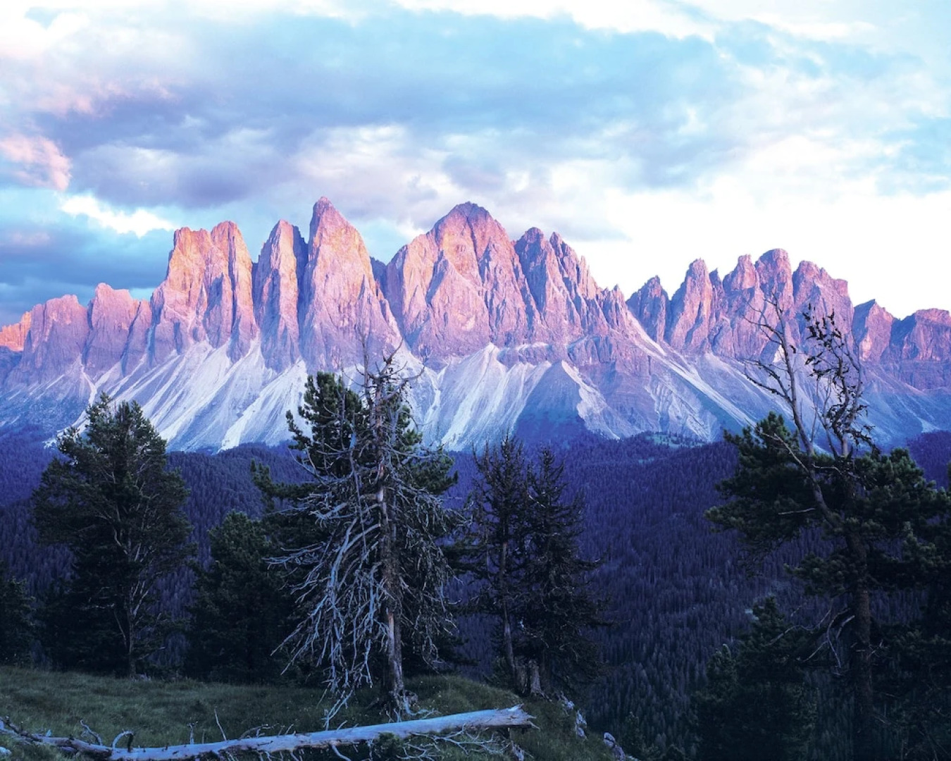 Panoramic Residence Schopplhof