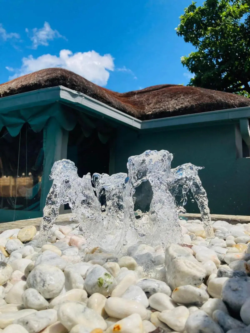 President Guest Lodge