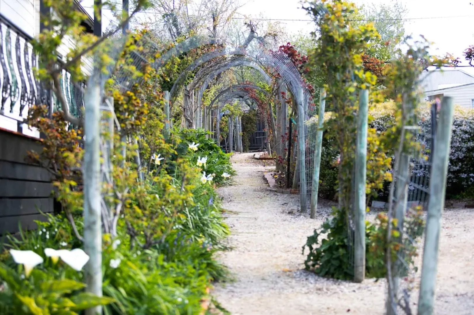 Отель The Dragonfly Inn