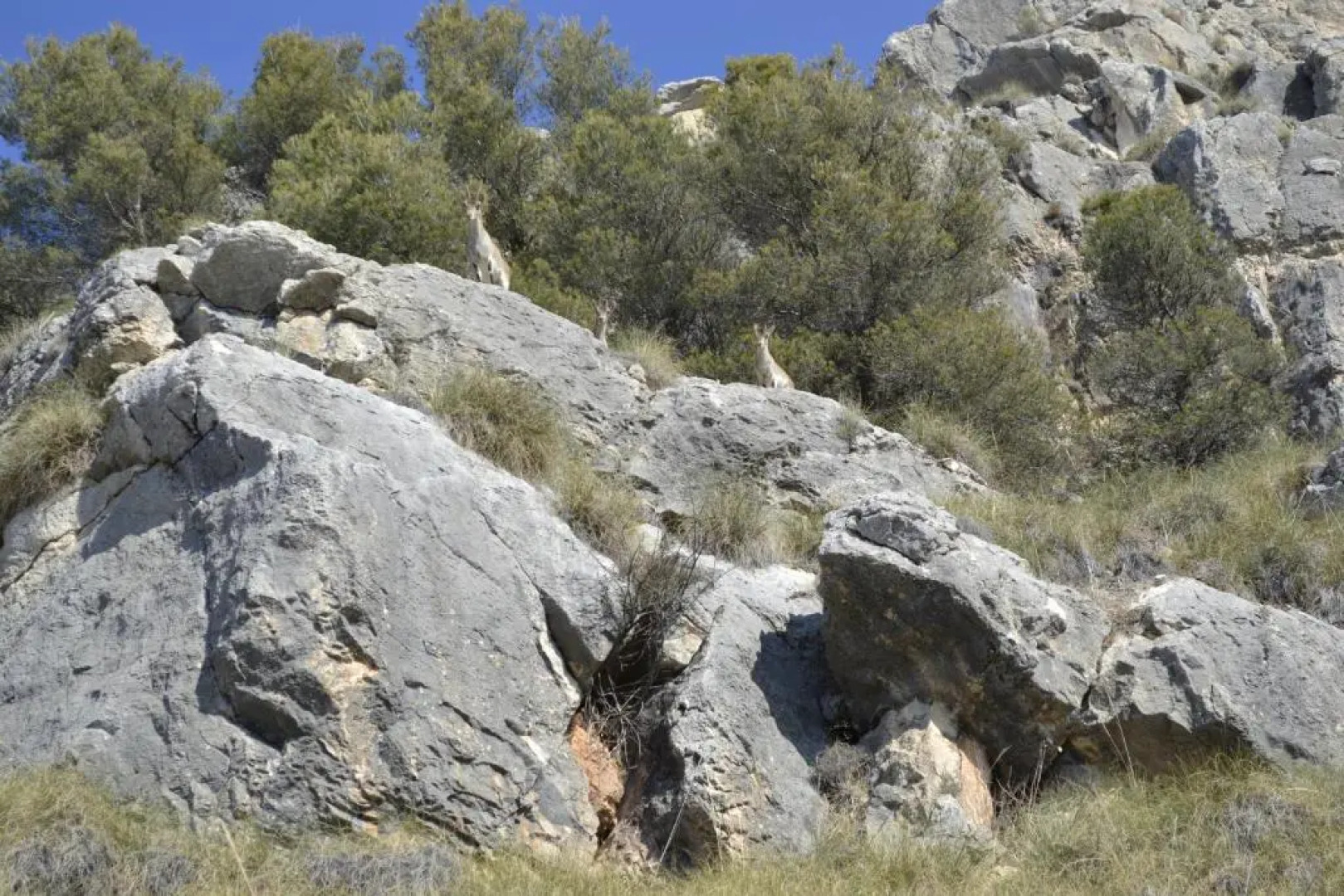 Apartamentos Rurales Parque