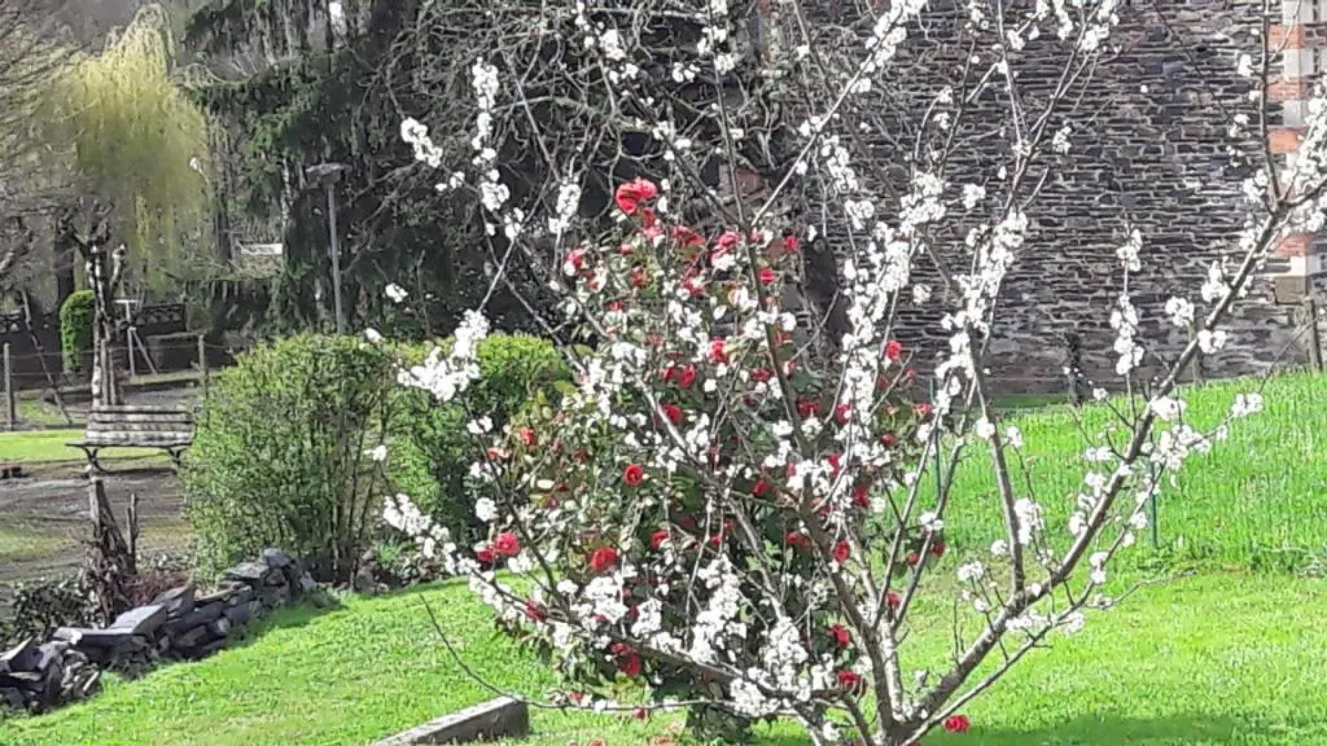 Auberge le Cheval Blanc