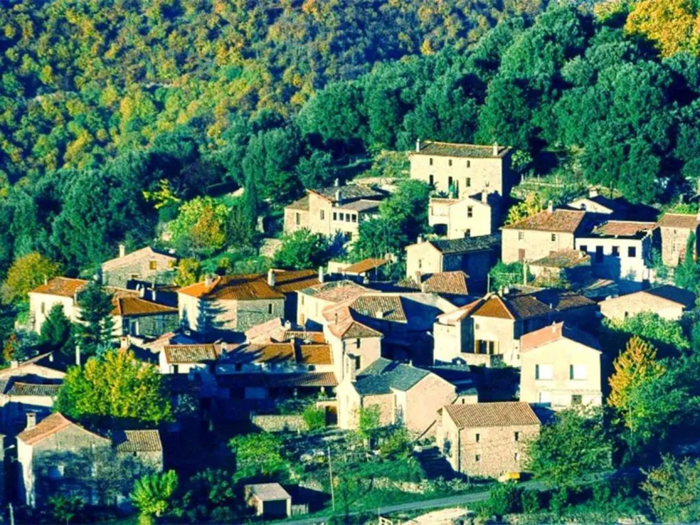 Appartement d'une chambre avec piscine partagee et terrasse amenagee a Valleraugue