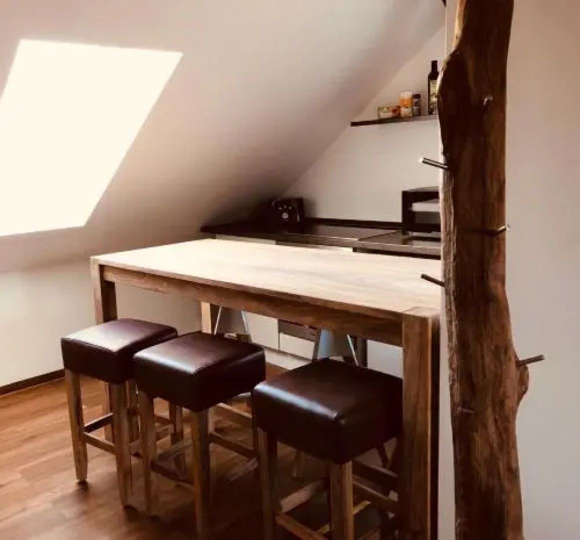 Moderne Wohnung im Grünen