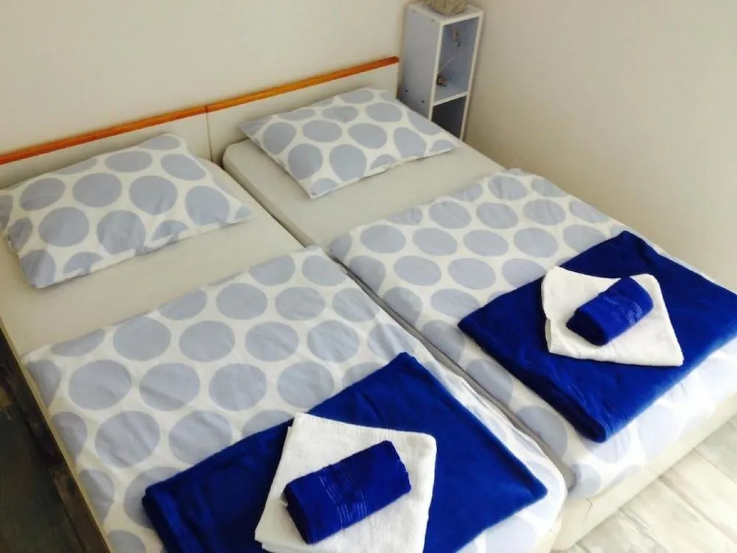 Hostel Little Seahorse