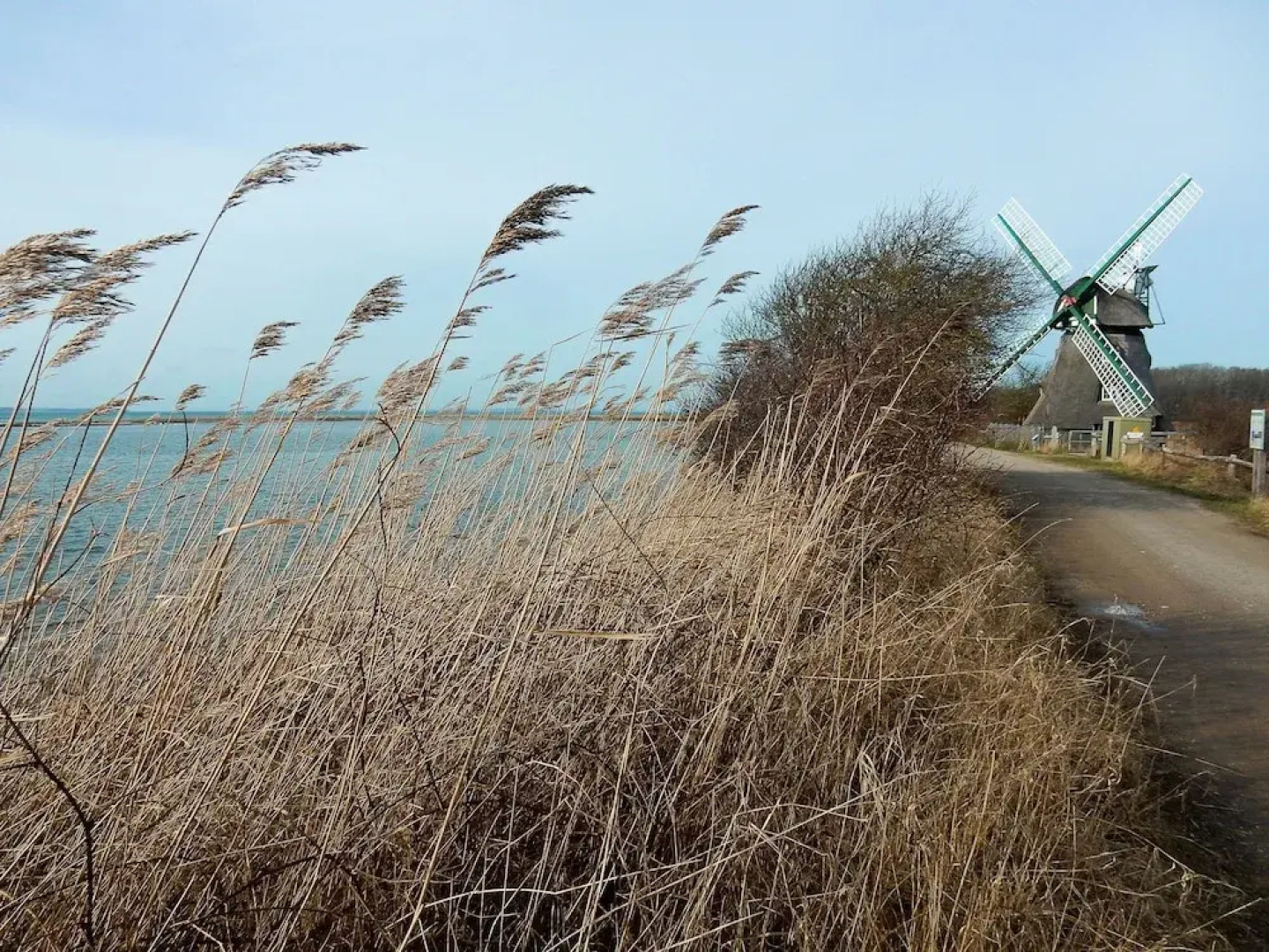 Terrassenwohnung direkt am Ostseestrand
