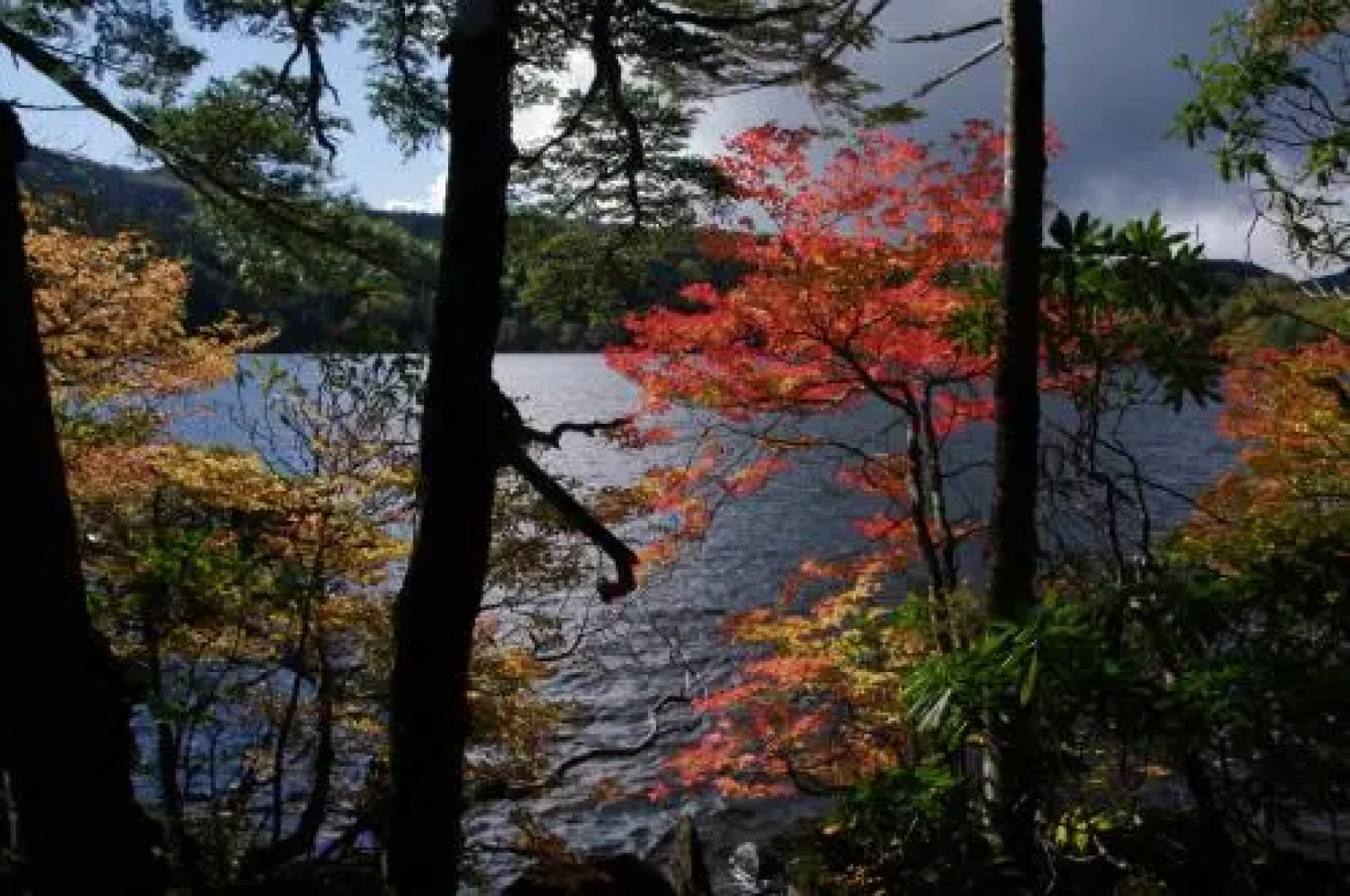 Petit Hotel of Log House Tombouctou