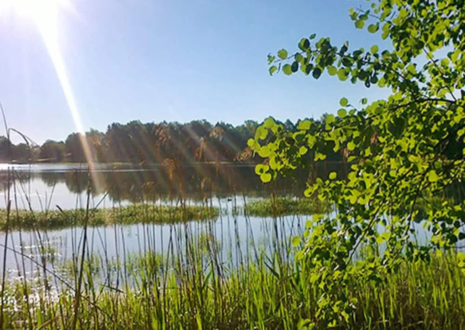 House With 4 Bedrooms in Lomnice nad Lužnicí, With Enclosed Garden and