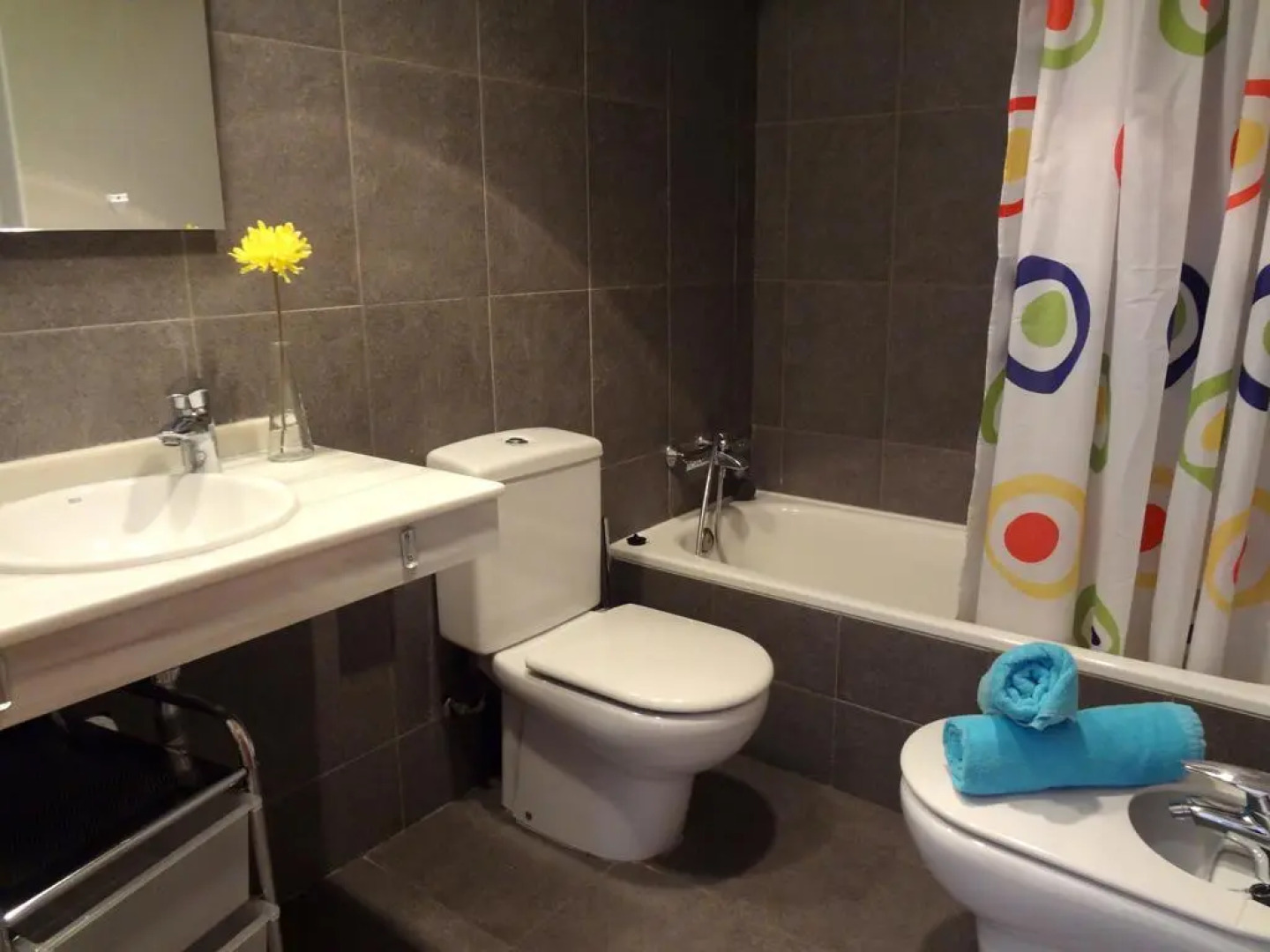 Apartamentos Serraneu ASN