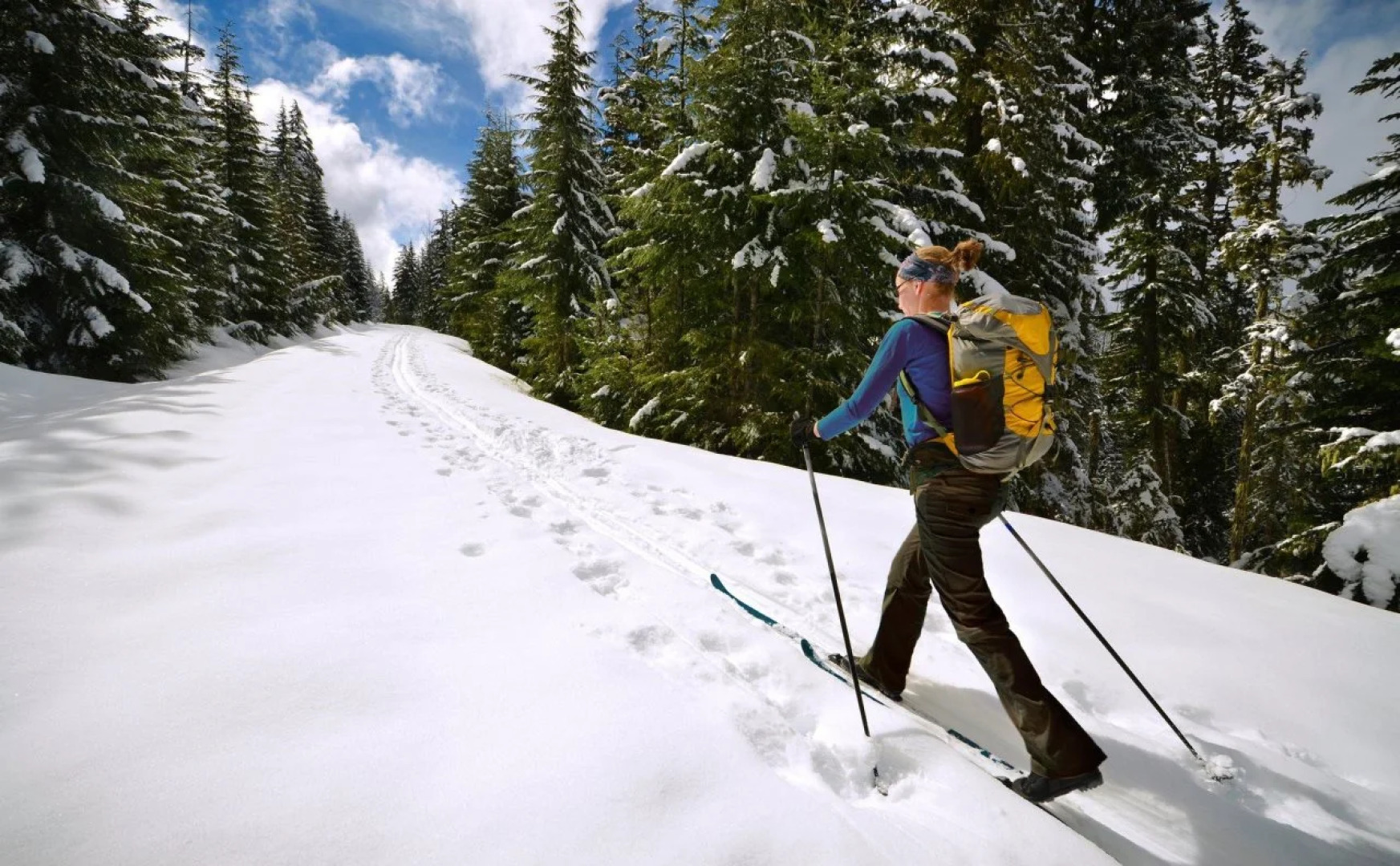 Holiday Inn Express & Suites North Bay by IHG