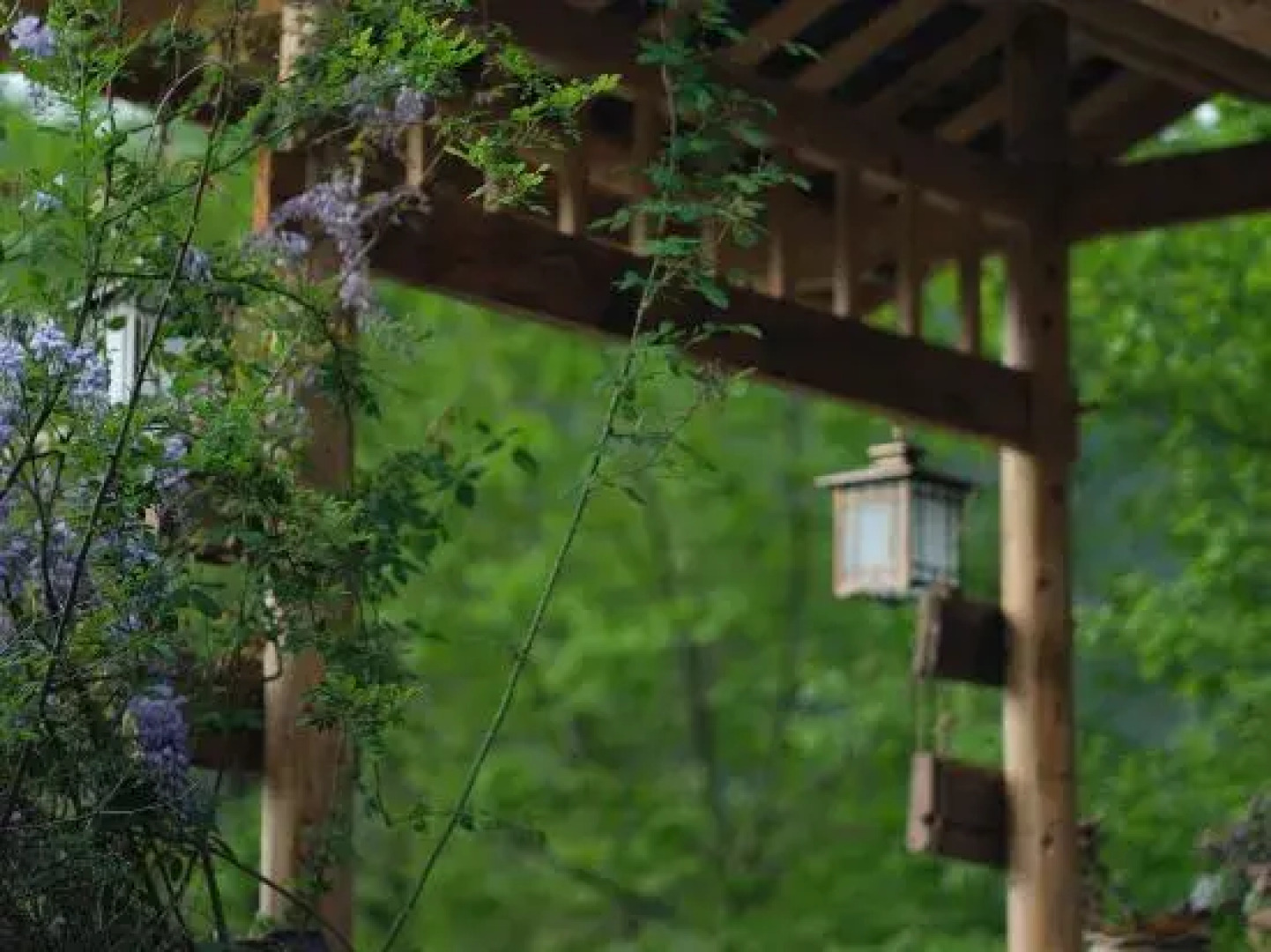 Yunshe Puju Guesthouse