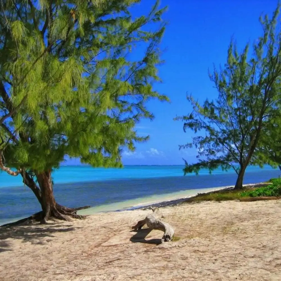 S2 BP Steps to Beach