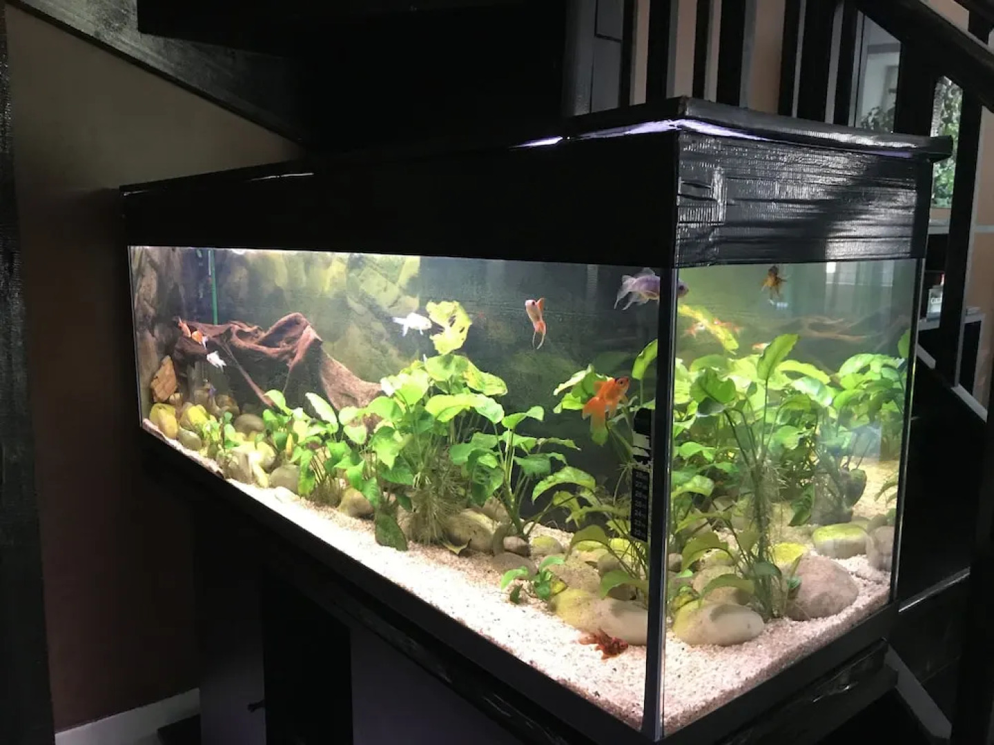 Au Bois de Massier - Chambre d'hôtes