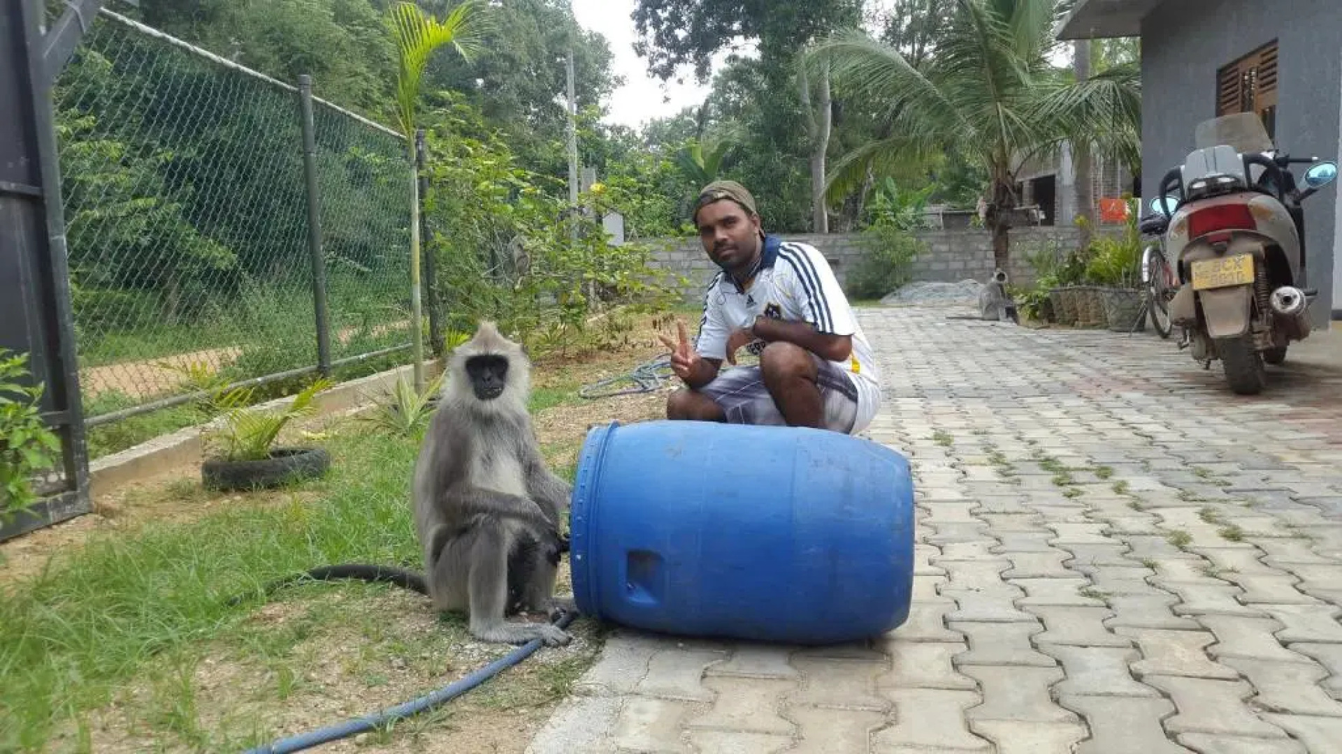 Priyanna Guest, Polonnaruwa