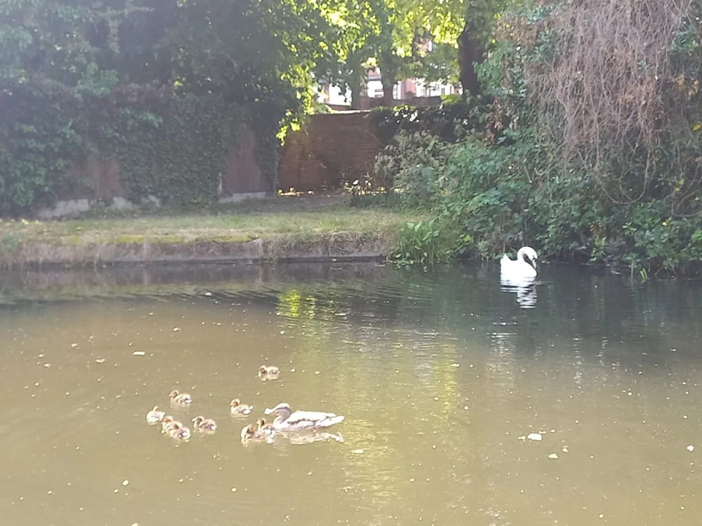Charming 4-bed Victorian House in Retford