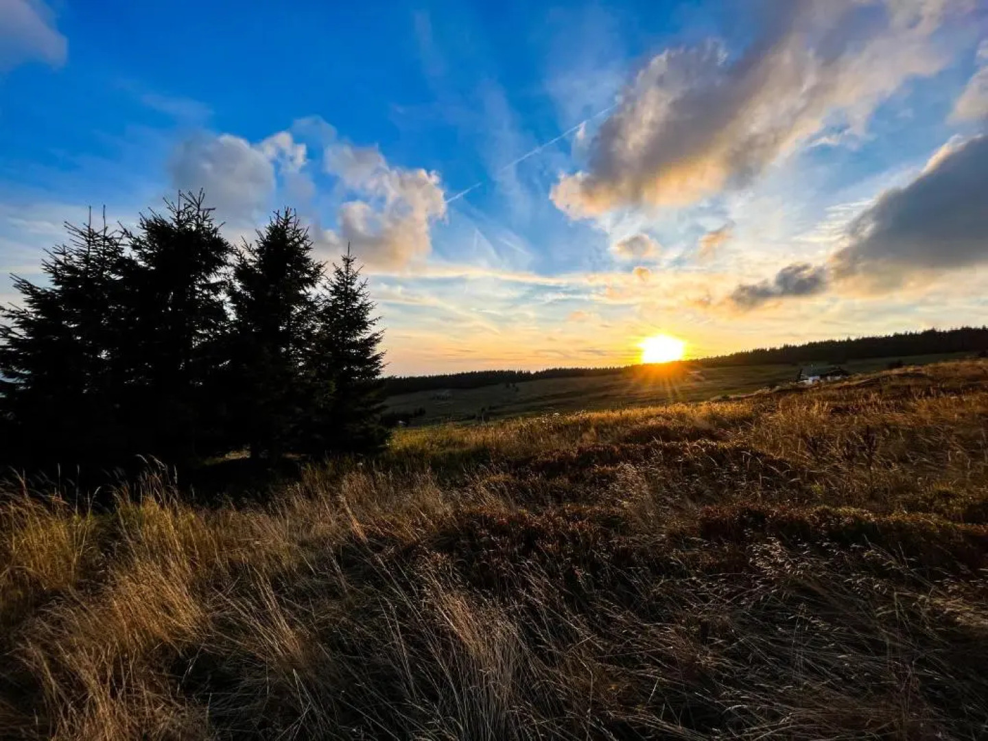 Horská bouda KUPROVKA