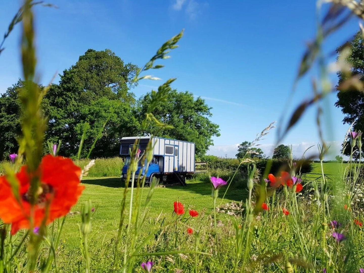 Glamping Thorpe