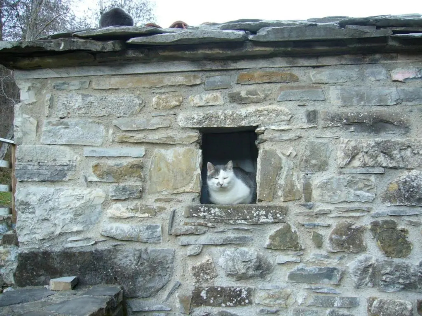 Castello Malaspina di Gambaro