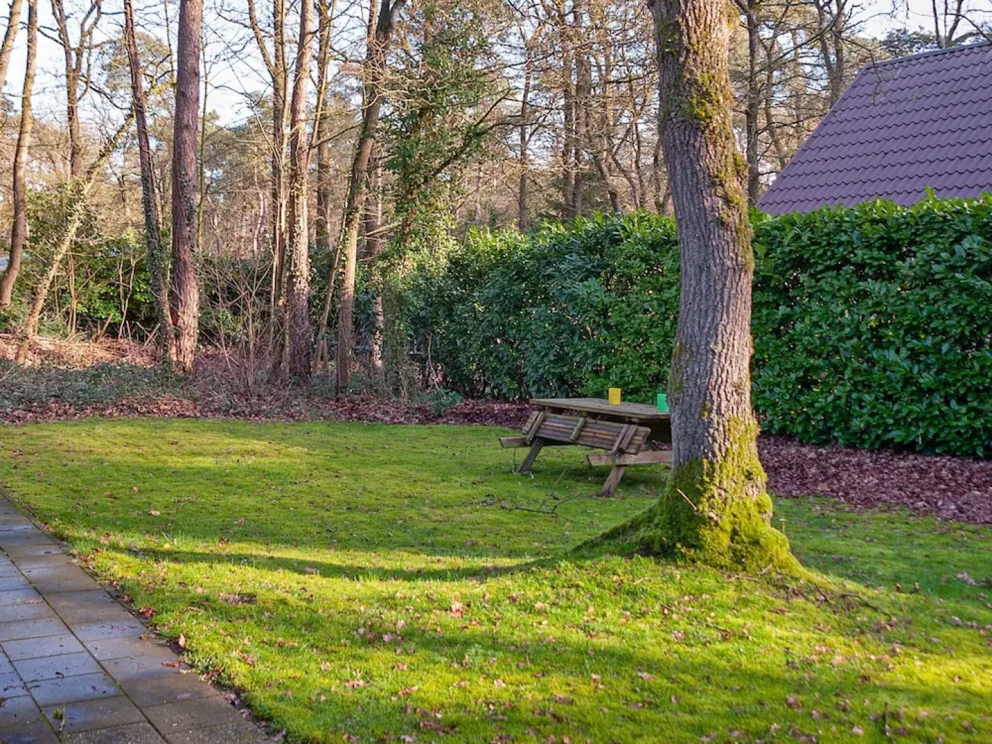 Attractive Holiday Home in Norg in the Countryside