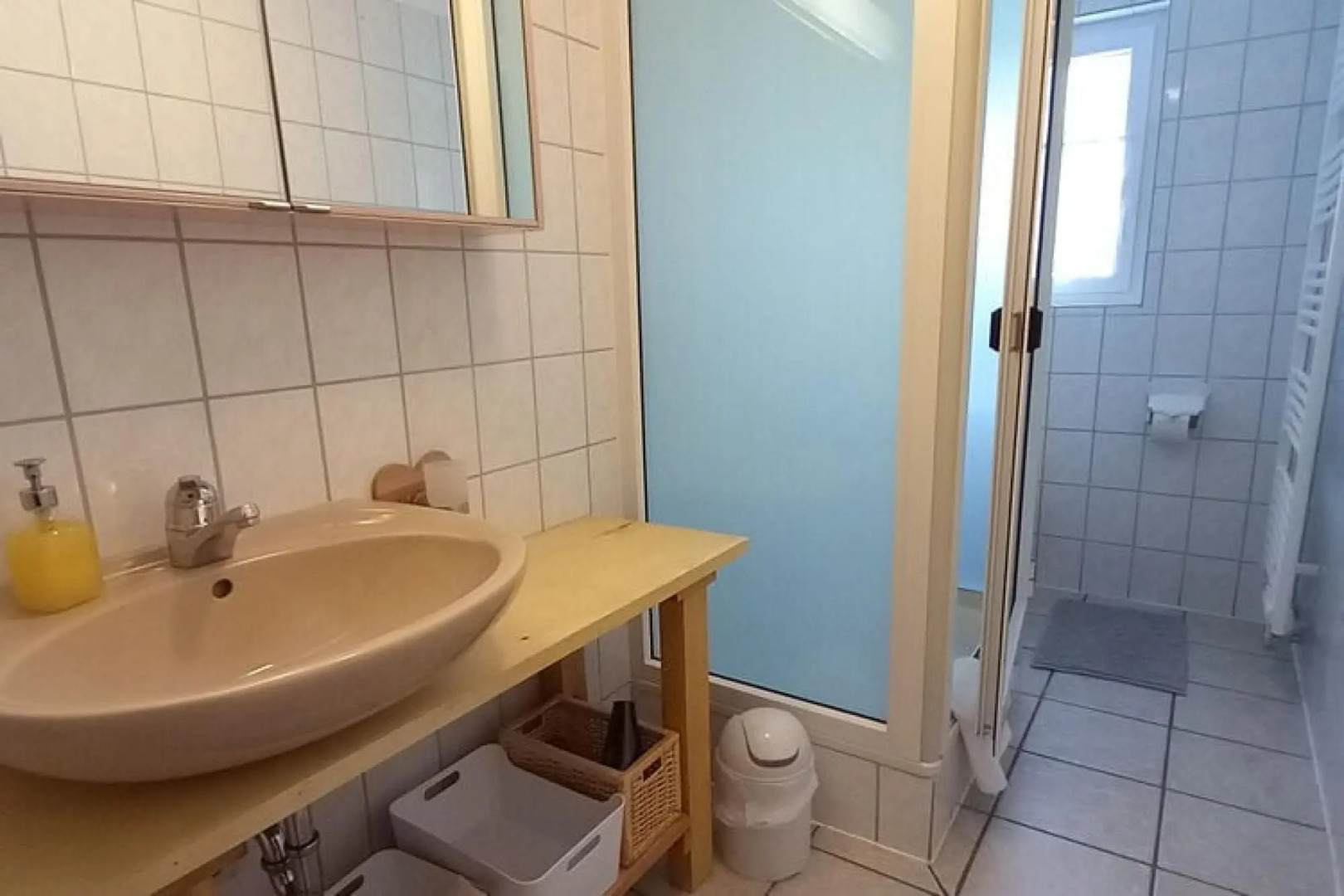 Apartment for 2 Adults & 2 Children near Ski Resort in Black Forest