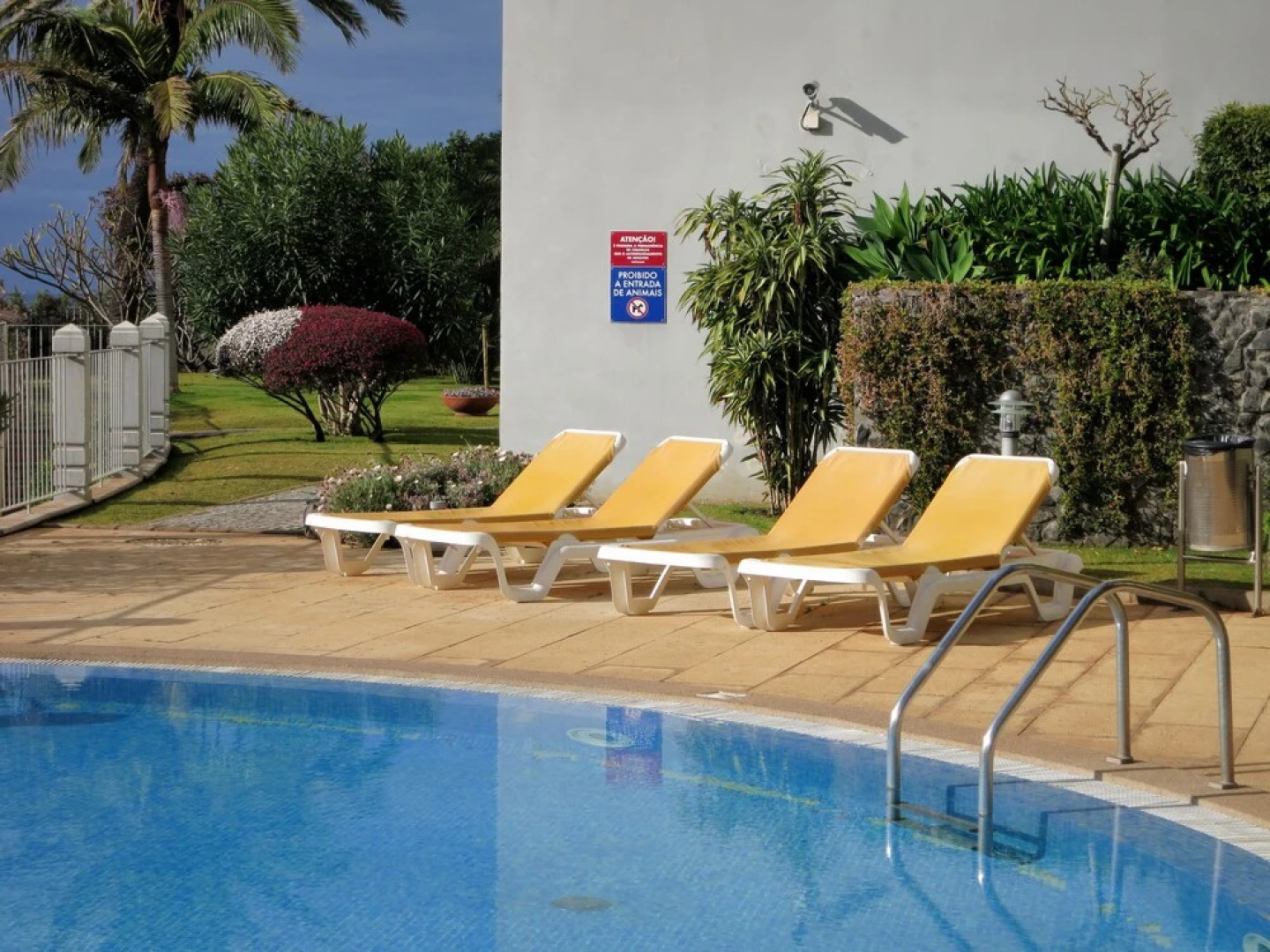 Superior Rentals IN Madeira