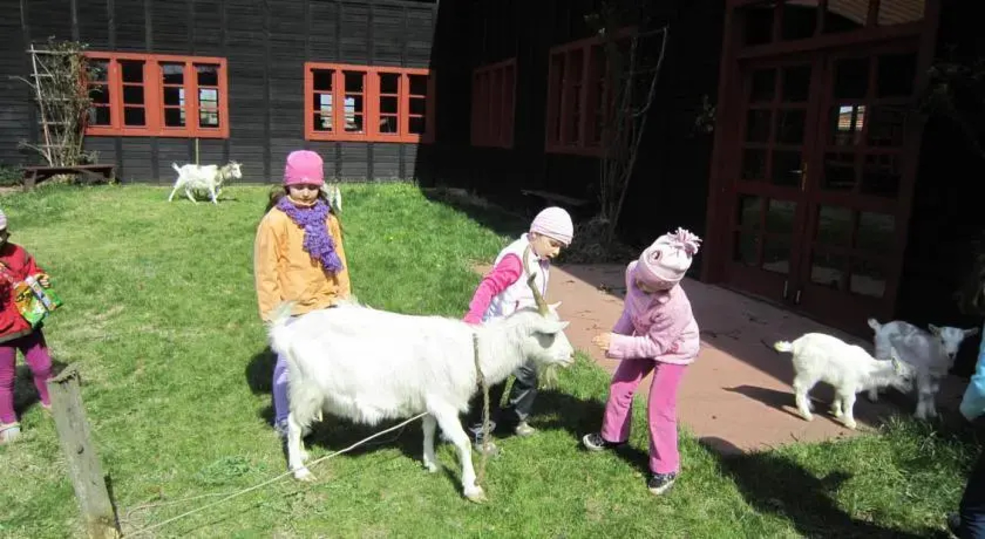 Sóstói Lovaskemping és Turistaház