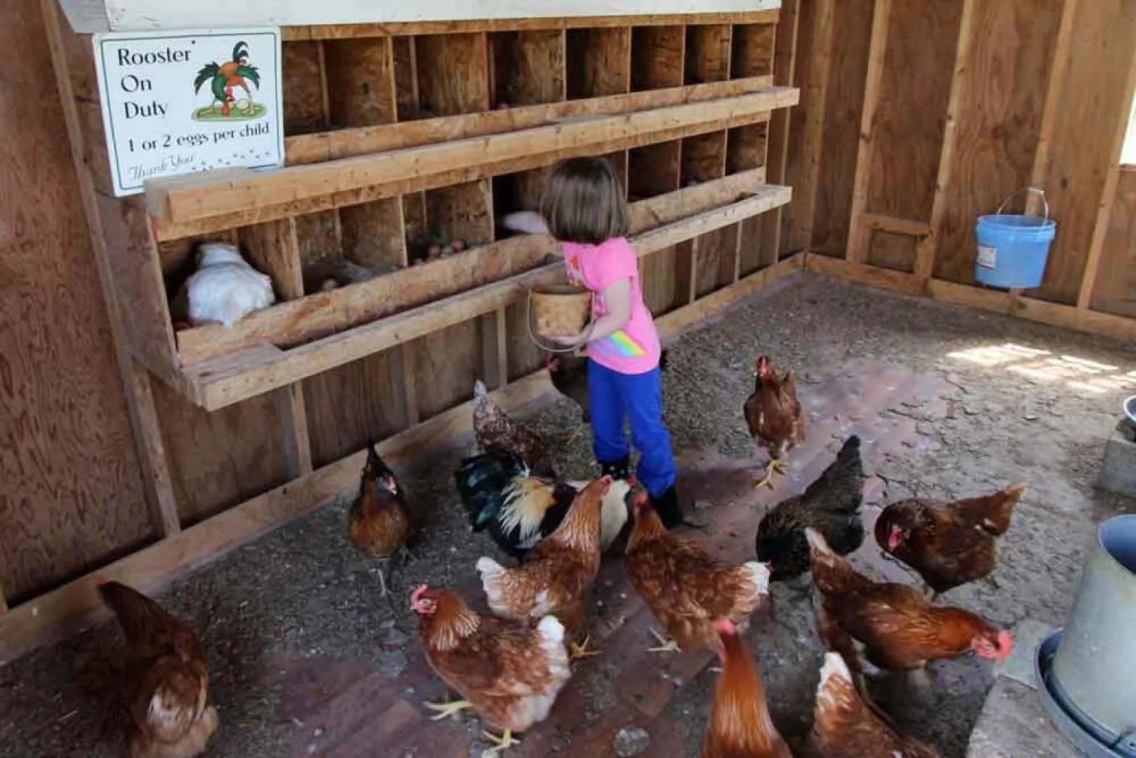 Rocky Acre Farm Bed and Breakfast