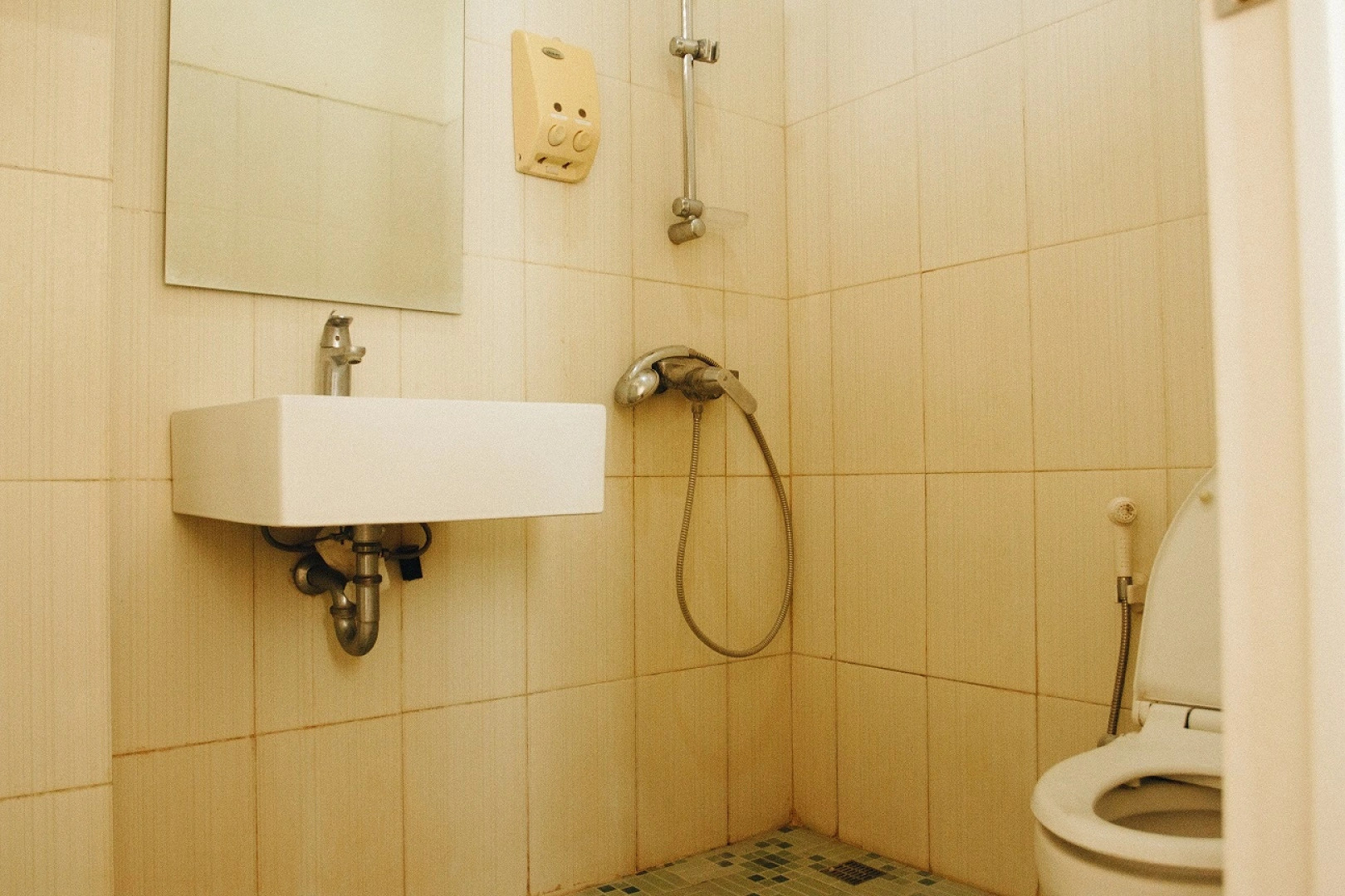 Pineapple Mansion Solo