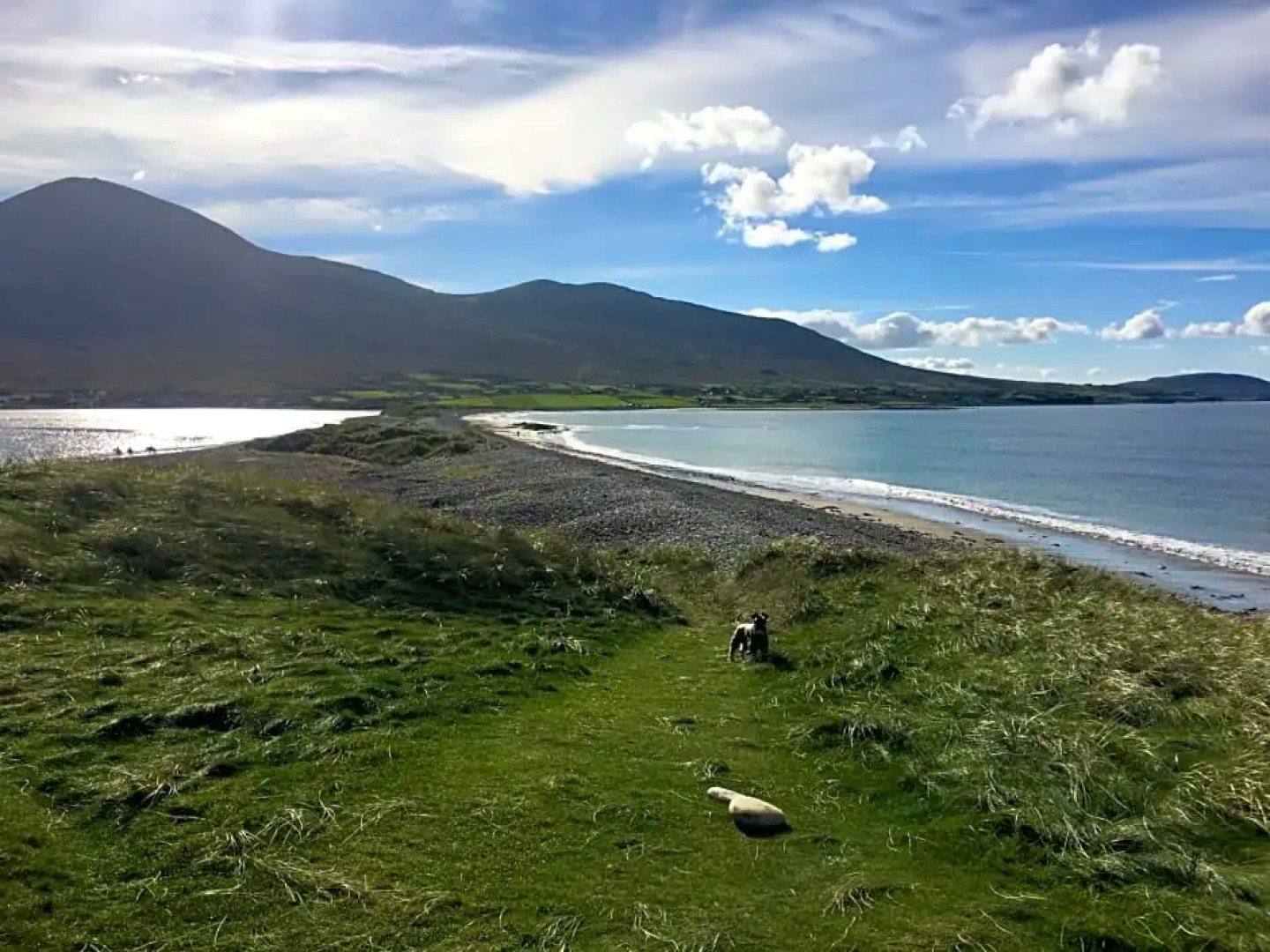 The Garden Room at Sleepy Hollow
