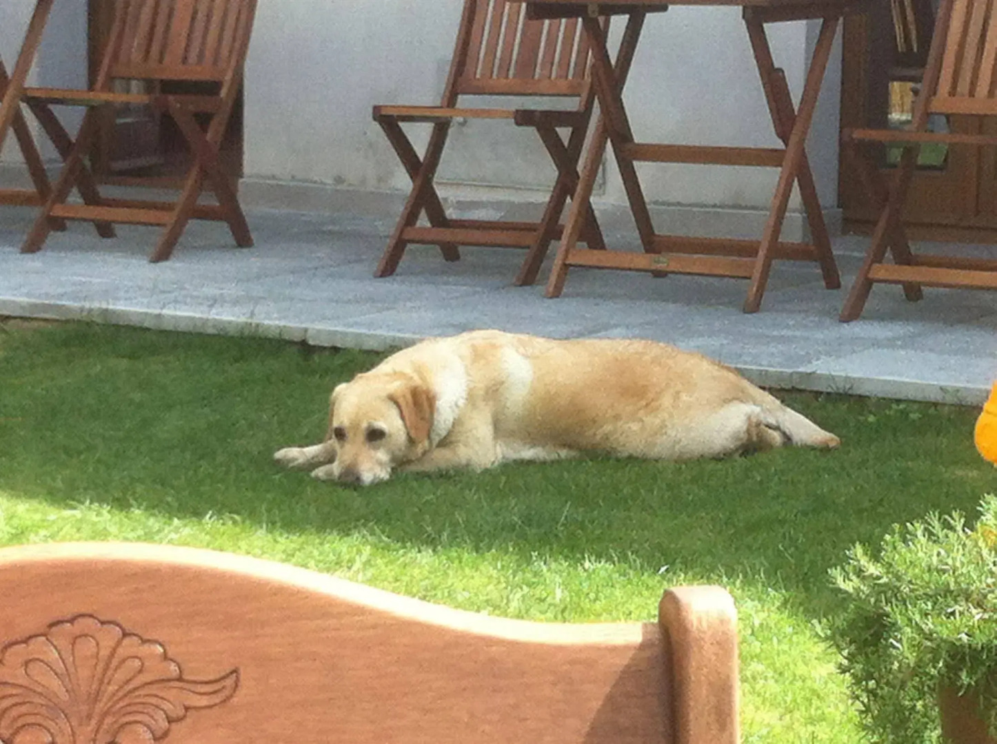 Il Casale del Giglio