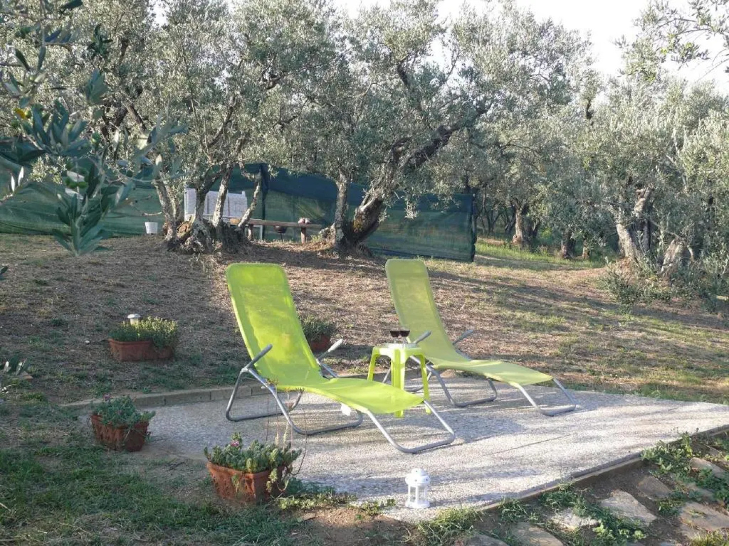 Antica Bottega di Vinci