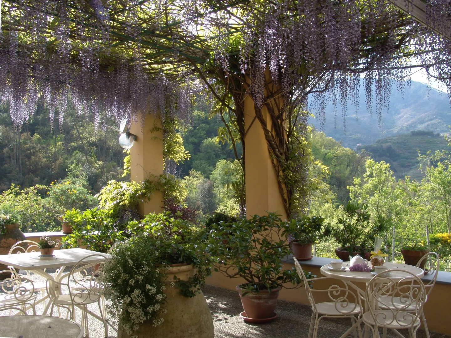 Villanova - Nature & Wellness