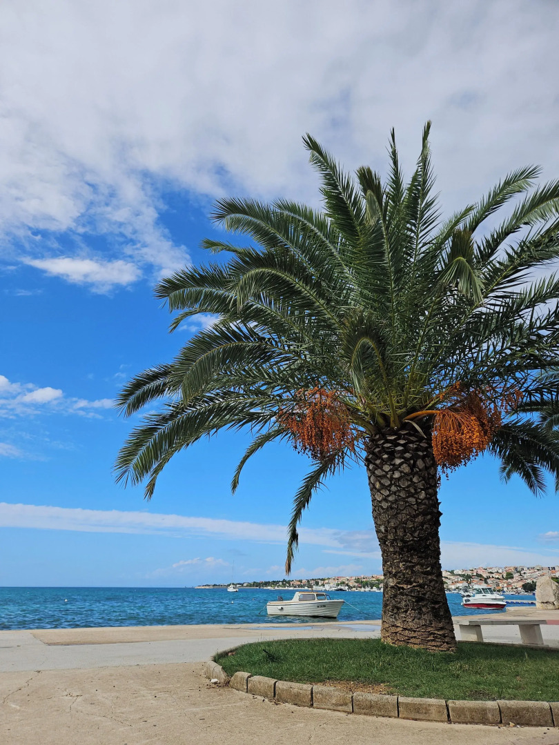 Kristal Paris Resort