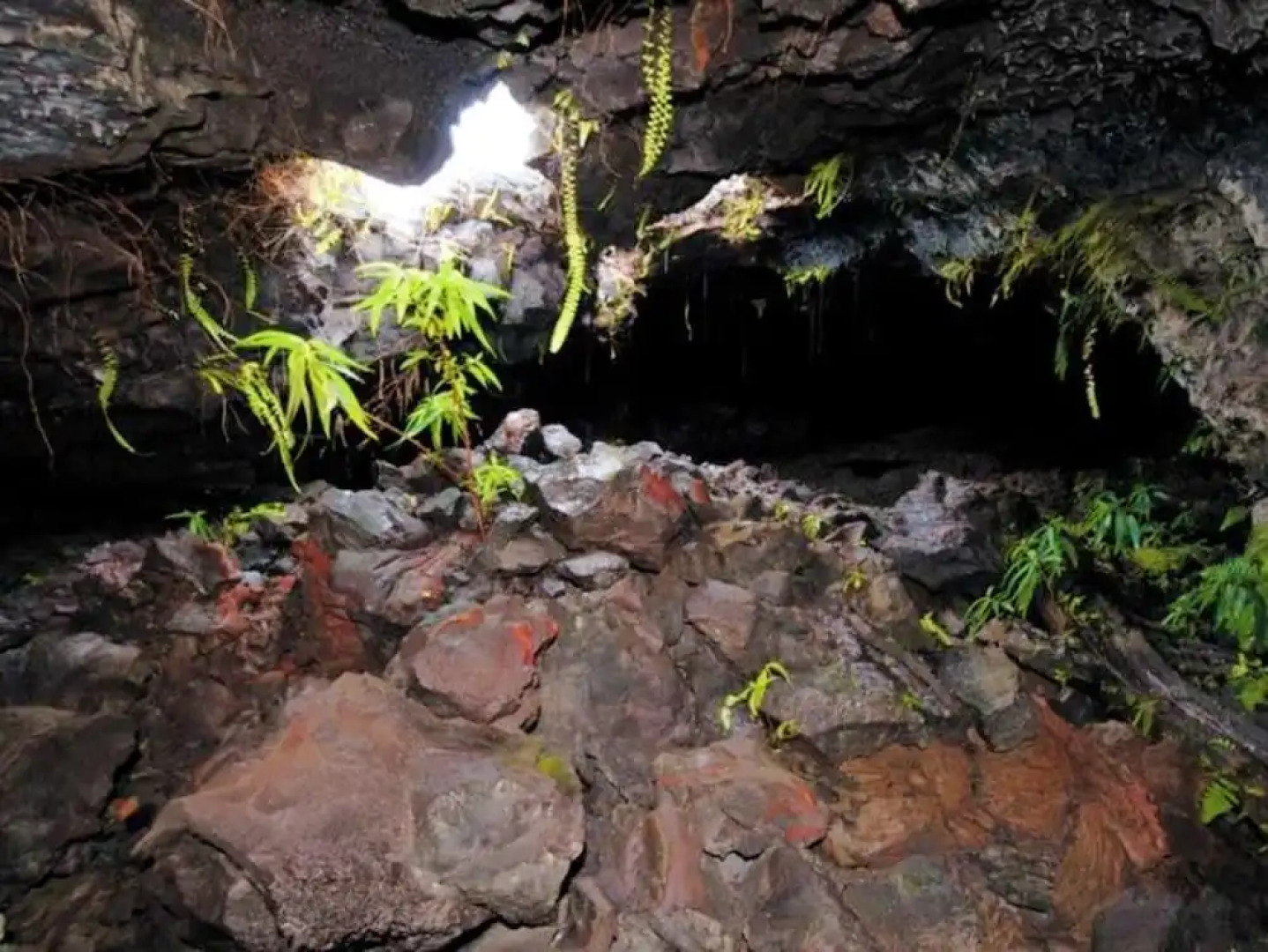 Chalet With 3 Bedrooms in Vincendo, Saint-joseph, With Pool Access, Fu