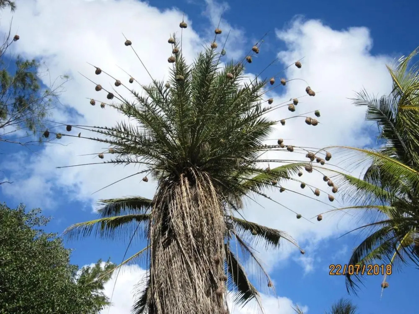 Villa with 3 Bedrooms in Pointe Aux Piments, with Wonderful Mountain View, Private Pool, Furnished Terrace