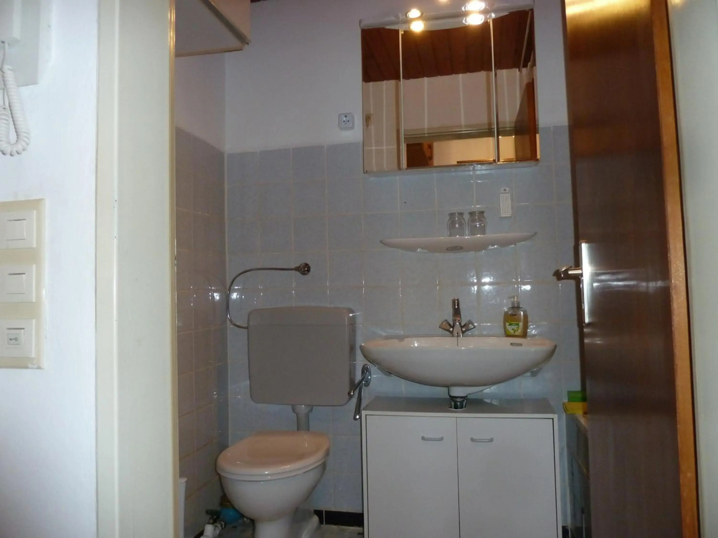 Ferienwohnung Roth in ruhiger Lage im Naturschutzgebiet am Bodensee Eriskircher Ried