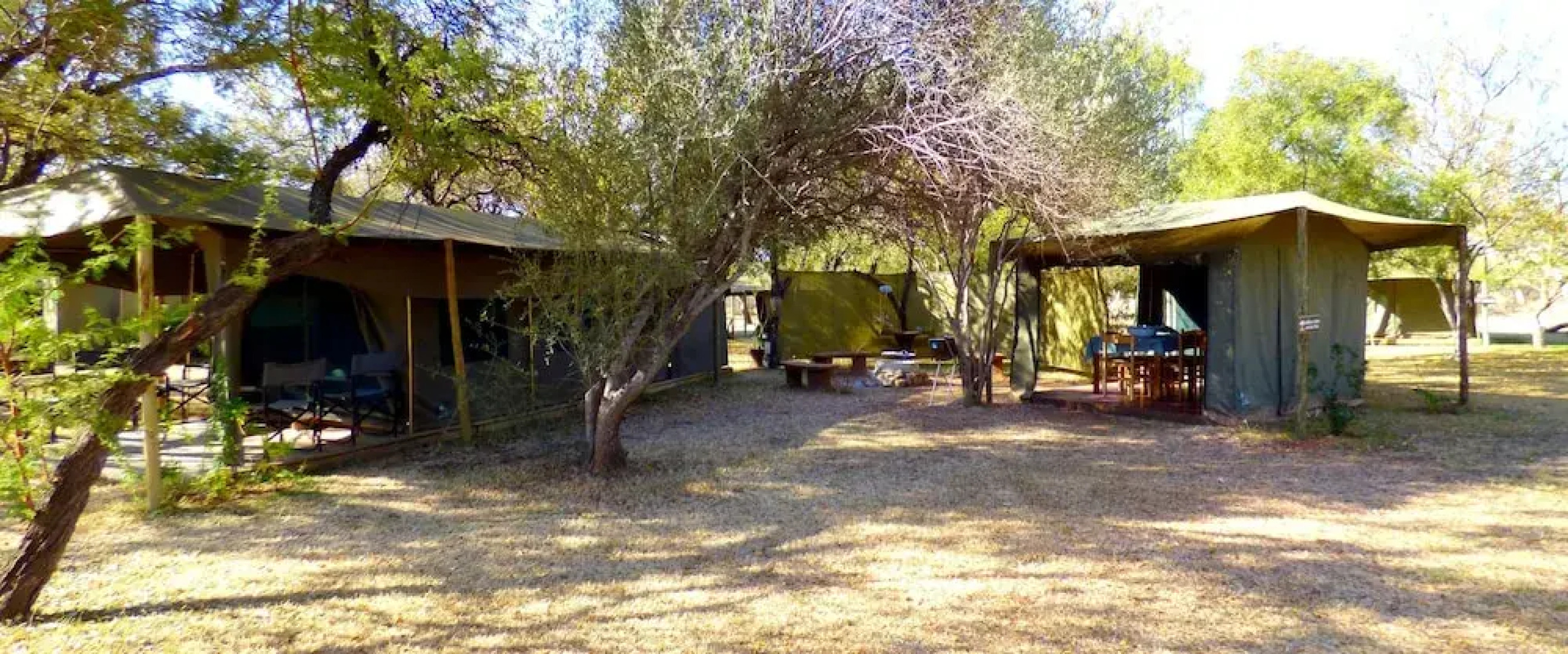 Thorn Tree Bush Camp