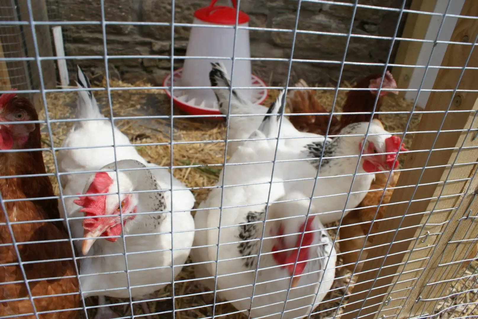 Dean Park Guest House