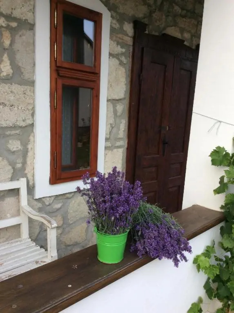 Vitamin B63 Vendégház