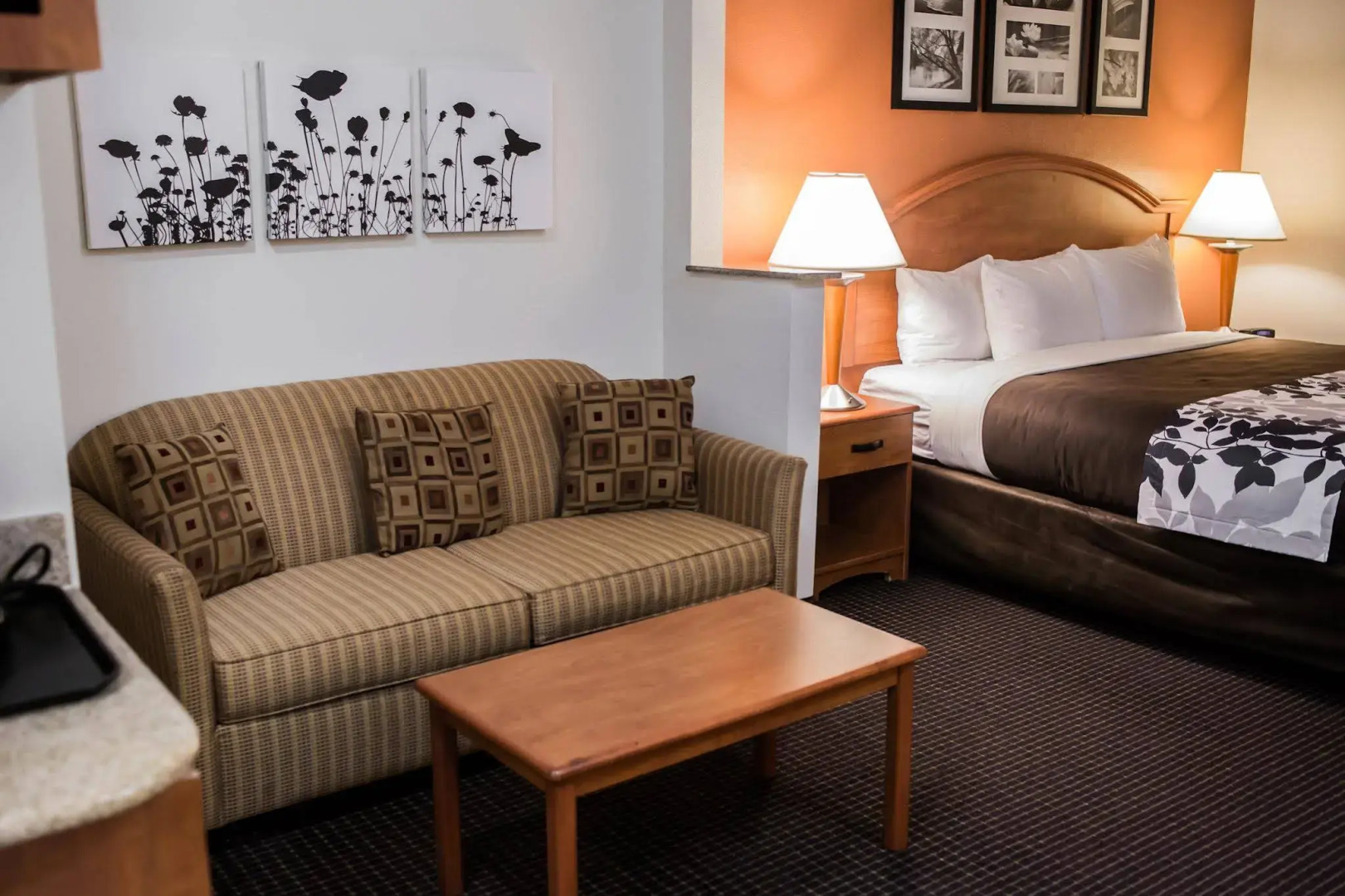 Sleep Inn & Suites Stafford - Sugarland