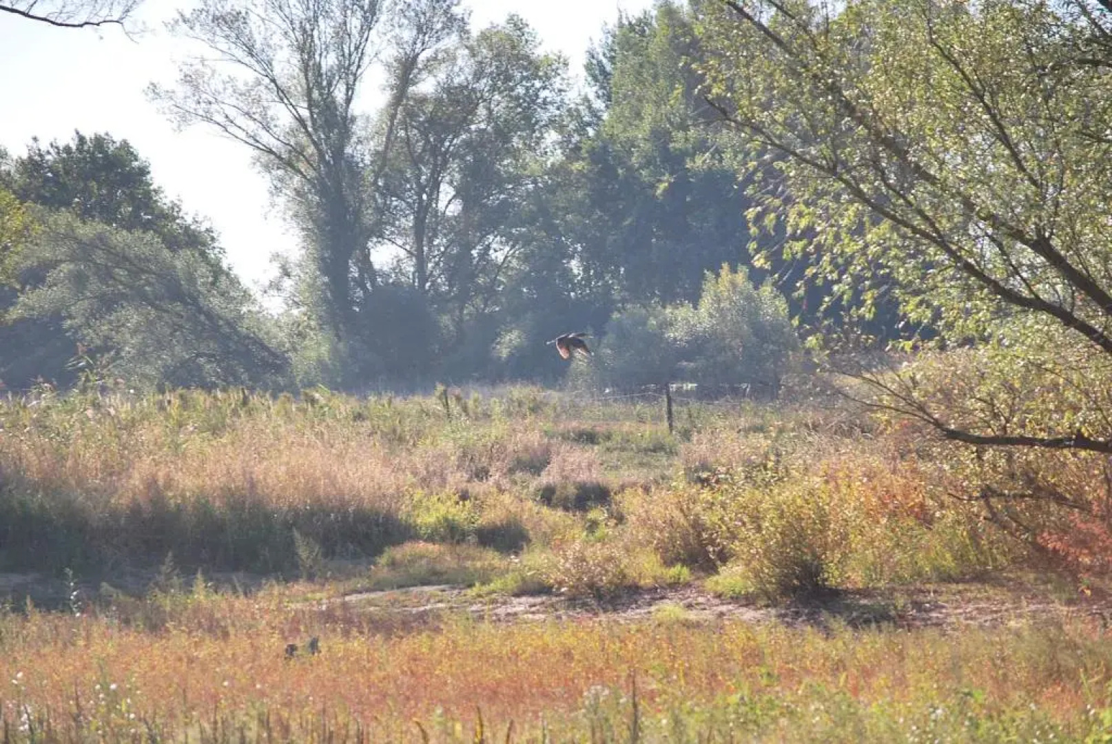 Alte Schmiede Bleckede