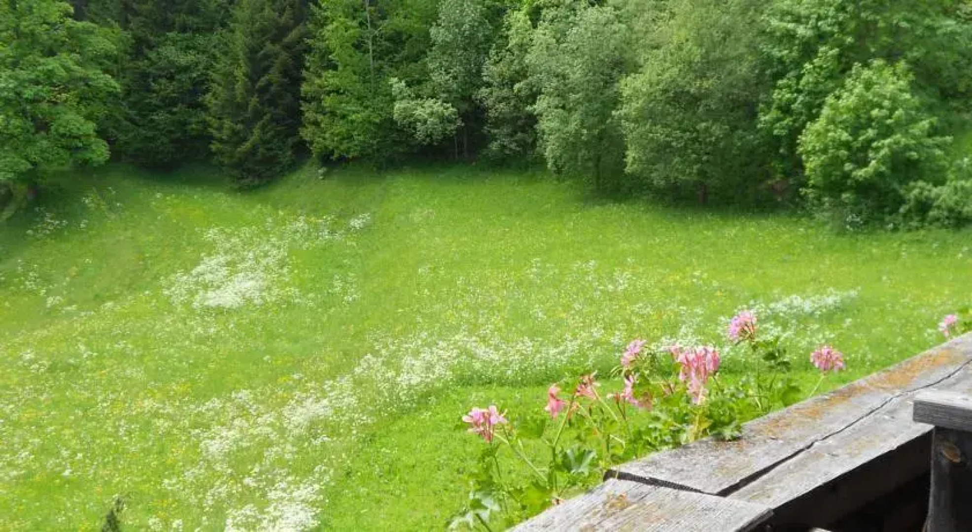 Appartamento Baita Latemar