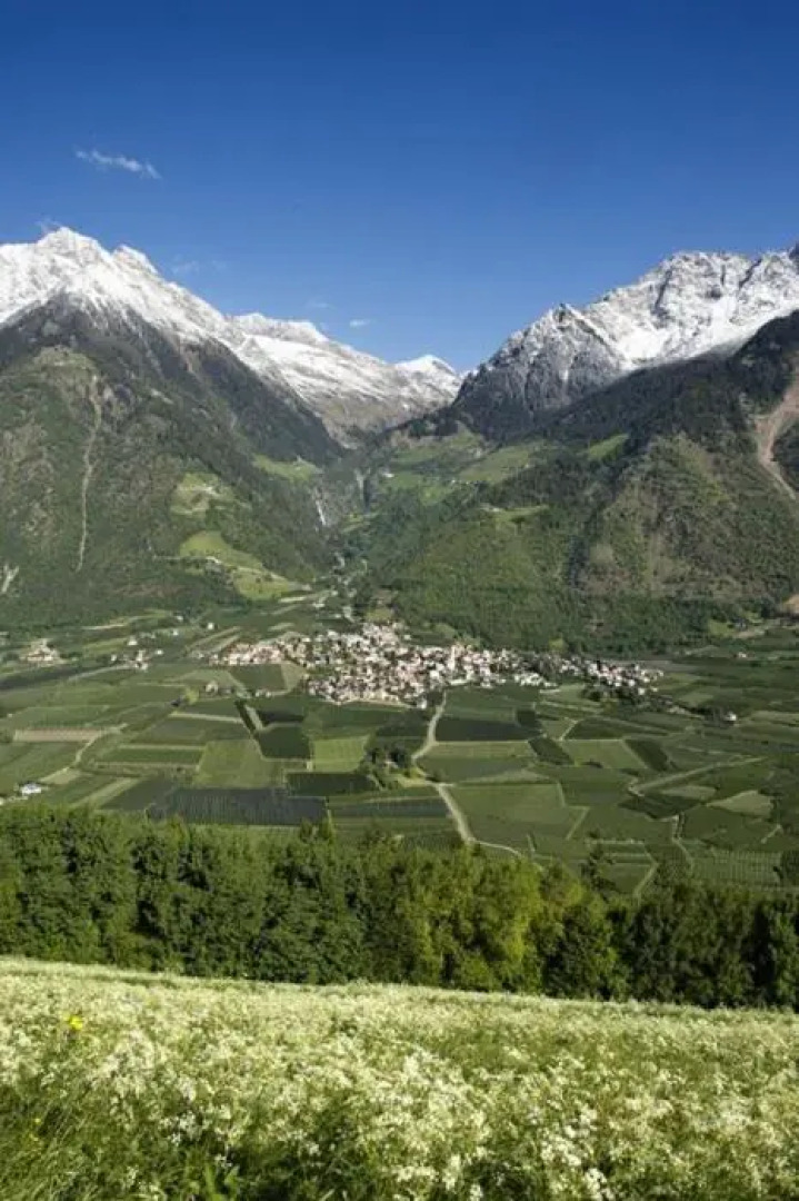 Apparthotel Taufenbrunn